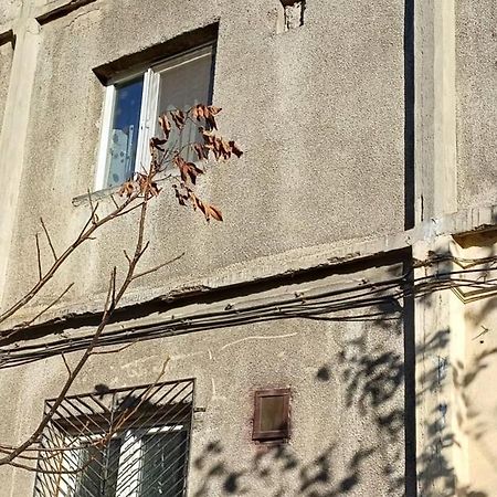 Apartament Garsoniera Luminoasa Krajowa Zewnętrze zdjęcie